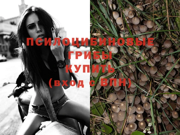 МДПВ Алзамай